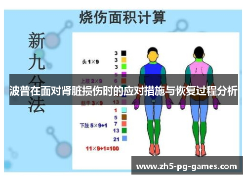 波普在面对肾脏损伤时的应对措施与恢复过程分析
