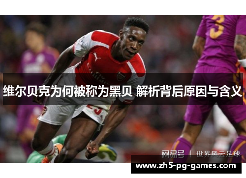 维尔贝克为何被称为黑贝 解析背后原因与含义